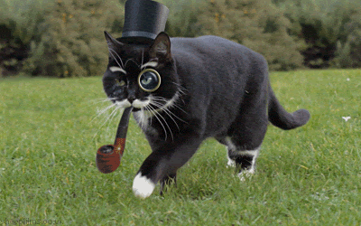 Fancy cat with top hat - upgrade your vocabulary