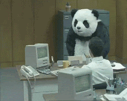 Panda working at a desk
